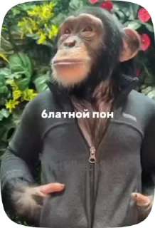 🌟 emoji Заказать стикеры - @Megabradok Telegram sticker 9 of 34