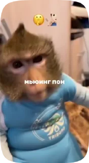 🌟 emoji Заказать стикеры - @Megabradok Telegram sticker 24 of 34
