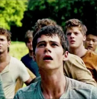 Sticker from mazerunner