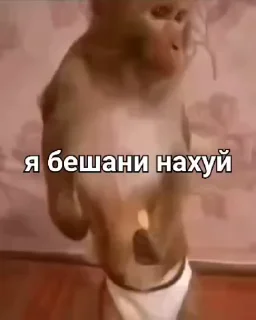 Sticker from Бибизянке @bibizyani100