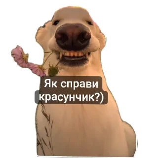 ❤ emoji Cars 1/64 Telegram sticker 15 of 24