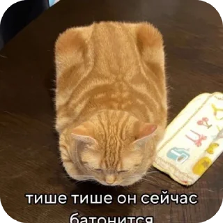 Sticker from Коты