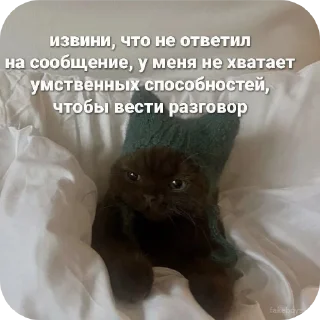 Sticker from Коты