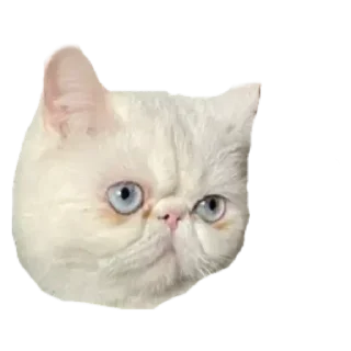 Sticker from Стикеры для общения со мной