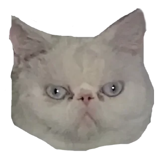 Sticker from Стикеры для общения со мной