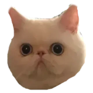 Sticker from Стикеры для общения со мной