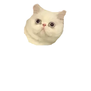 Sticker from Стикеры для общения со мной