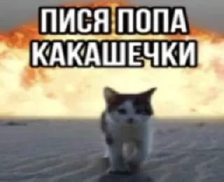 Sticker from Какоета пак стикерав