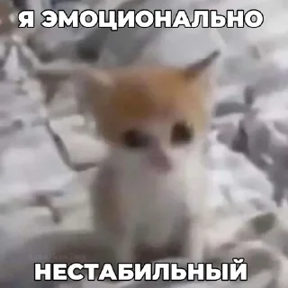 Sticker from Какоета пак стикерав