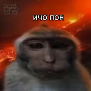 Sticker from Чифирок :: @QStickBot
