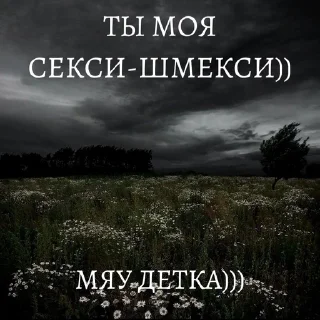 Sticker from мяу детка)))