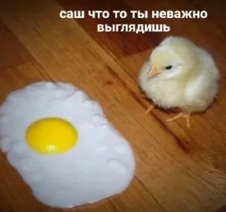 Sticker from Какоета пак стикерав