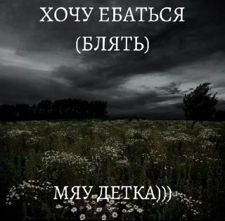Sticker from мяу детка)))