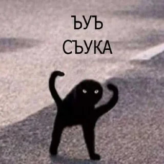 😍 emoji ВЕТА ЁЖ АВТОР ➡️ @Ctikerubot Telegram sticker 18 of 120