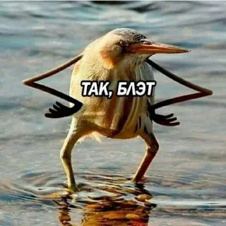 😎 emoji ВЕТА ЁЖ АВТОР ➡️ @Ctikerubot Telegram sticker 19 of 120