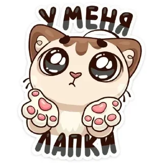 котик!!! sticker preview 1