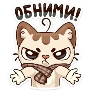 котик!!! sticker preview 2