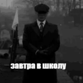 🌟 emoji Стикер пак пон Telegram sticker 20 of 115