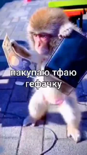 🌟 emoji Стикер пак пон Telegram sticker 5 of 115