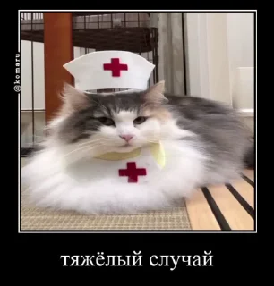 🌟 emoji Стикер пак пон Telegram sticker 18 of 115