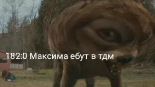 Sticker from Максим лох prod.dinarchik