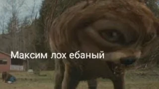 Sticker from Максим лох prod.dinarchik
