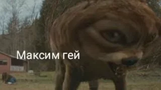 Sticker from Максим лох prod.dinarchik
