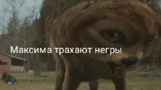 Sticker from Максим лох prod.dinarchik