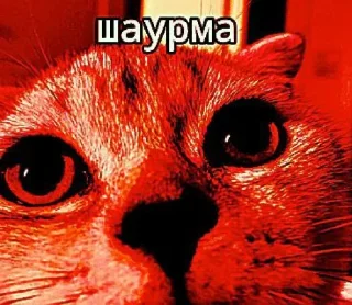 🤩 emoji Свинтус аэаэа @MoiStikiBot Telegram sticker 11 of 21