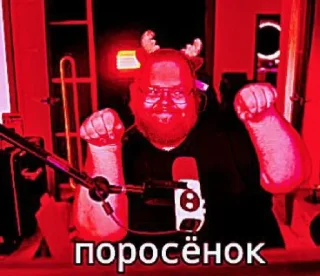 🤩 emoji Свинтус аэаэа @MoiStikiBot Telegram sticker 16 of 21