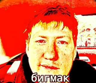 🤩 emoji Свинтус аэаэа @MoiStikiBot Telegram sticker 8 of 21