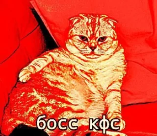 🤩 emoji Свинтус аэаэа @MoiStikiBot Telegram sticker 10 of 21