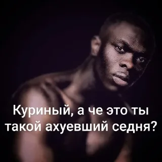 Sticker from Куриный, тише