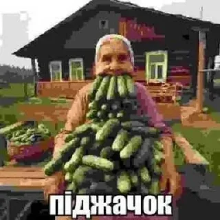 Sticker from п1джачок (new text era)