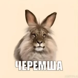 Sticker from п1джачок (new text era)