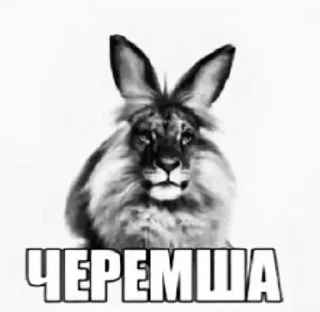 Sticker from п1джачок (new text era)