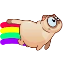 🌈 emoji Catz Emoji @xkysluv Telegram sticker 23 of 40