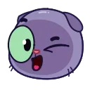 Sticker from Catz Emoji @xkysluv