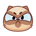 😠 emoji Catz Emoji @xkysluv Telegram sticker 13 of 40