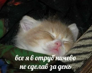 💤 emoji lolmemes2 Telegram sticker 7 of 59