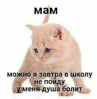 🤕 emoji lolmemes2 Telegram sticker 10 of 59