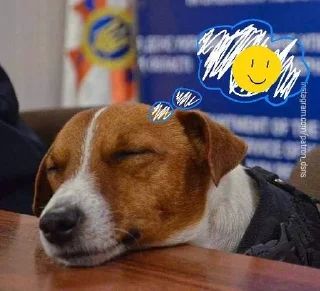 😴 emoji ХТО КРУТІШИЙ ЗА АЙФОН??? Telegram sticker 8 of 20