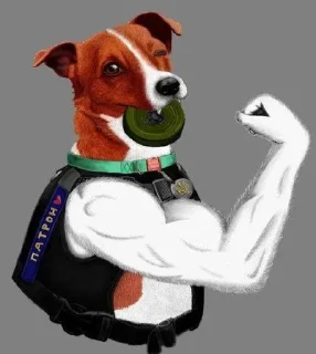 💪 emoji ХТО КРУТІШИЙ ЗА АЙФОН??? Telegram sticker 19 of 20