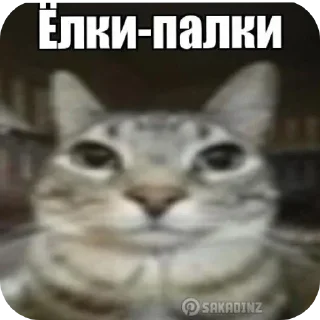Sticker from Щовел