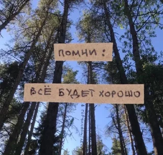 ЛюбиТаню sticker 1