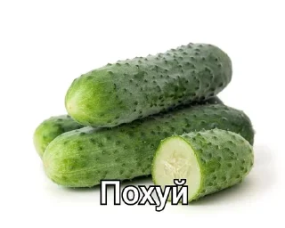 Sticker from Похуй :: @Jsjsissjeei