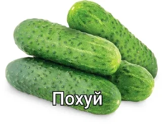 Sticker from Похуй :: @Jsjsissjeei