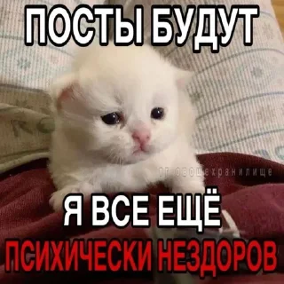 Sticker from нитта, ты що творишь