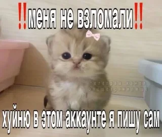 Sticker from нитта, ты що творишь