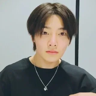 Sticker from |°•i.n vlive•°|